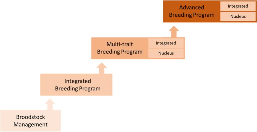 Illustration Genetic Services