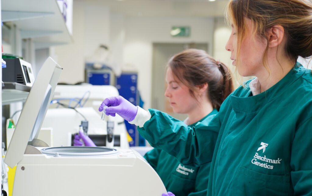 Photo of geneticists at work in a benchmark genetics lab