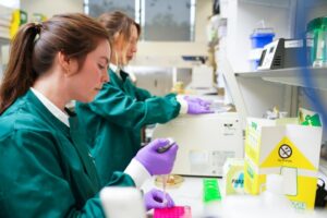Two geneticists at Benchmark Genetics.